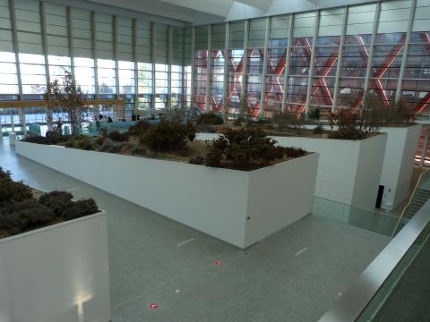 image Museo de la Evolución Humana de Burgos