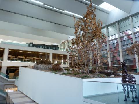 image Museo de la Evolución Humana de Burgos