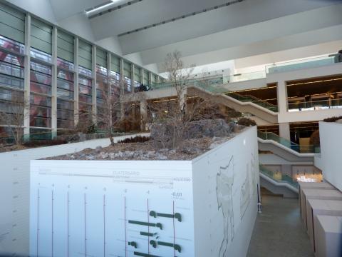 image Museo de la Evolución Humana de Burgos