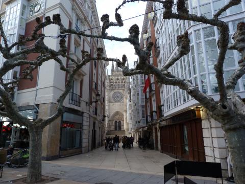 image Paseo del Espolón