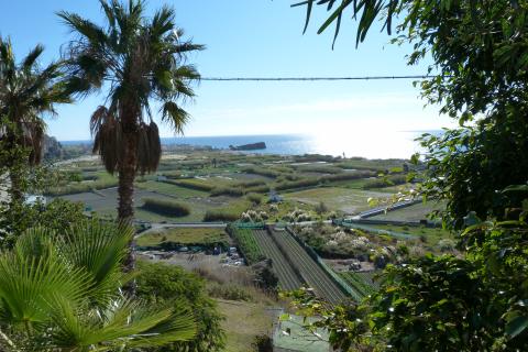 image Playa de Salobreña