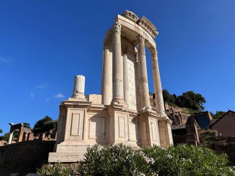 image Templo de Vesta, Foro Romano, Roma (Italia)
