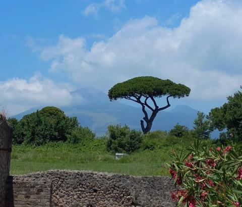 image Monte Vesubio