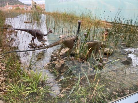 image Museo de paleontología de Cuenca