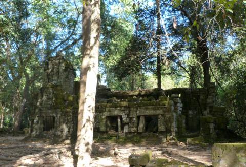 image Templo de Ta Prohm