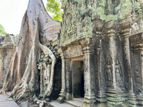 image Templo de Ta Prohm