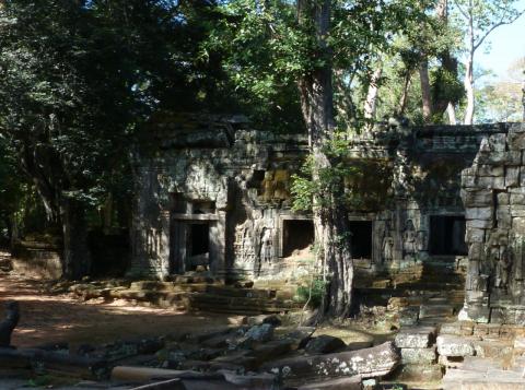 image Templo de Ta Prohm