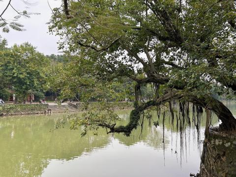 image El río Dong Ba a su paso por Hué
