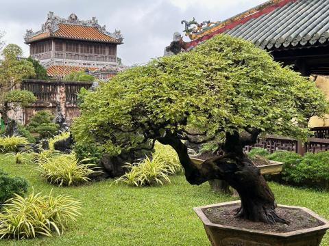 image Jardin Thieu Phuong de la ciudad imperial de Hué