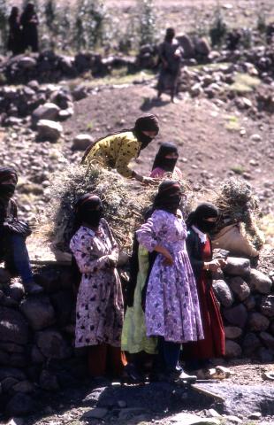 image Grupo de mujeres trabajando en el campo, Yemen