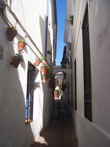 image Calle de las Flores, Córdoba