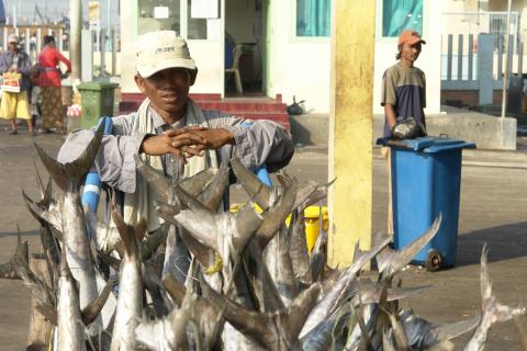 image Transportando pescado en el puerto de Jakarta, Indonesia