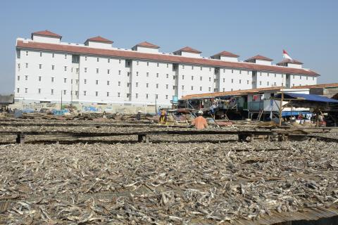 image Secaderos de pescado en el puerto de Muara Angke, Yakarta, Indonesia