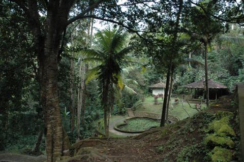 image Bosque y aldea balinesa, Indonesia
