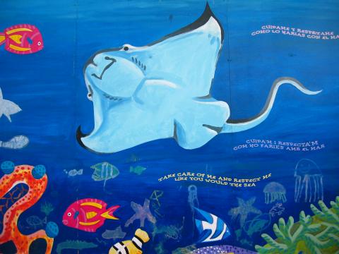 image Grafiti en la pared del Aquarium del Maremagnum, Barcelona