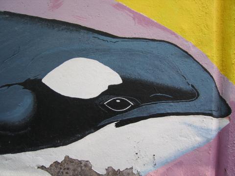 image Grafiti en Puerto de los Cristianos, Tenerife