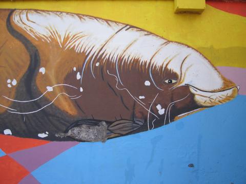 image Grafiti en Puerto de los Cristianos, Tenerife