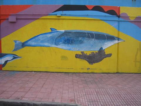 image Grafiti en Puerto de los Cristianos, Tenerife