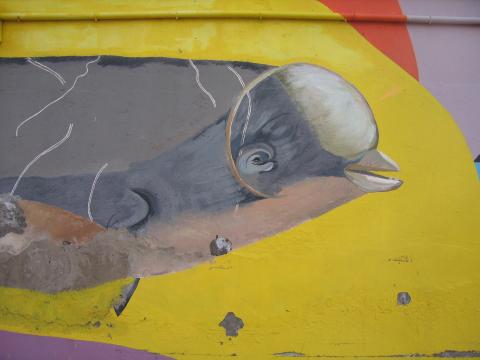 image Grafiti en Puerto de los Cristianos, Tenerife