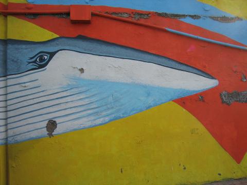 image Grafiti en Puerto de los Cristianos, Tenerife