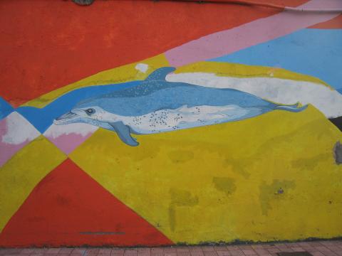 image Grafiti en Puerto de los Cristianos, Tenerife