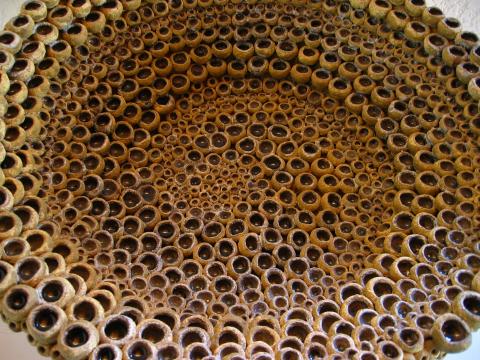 image Museo de Cerámica, Alcora, Castellón