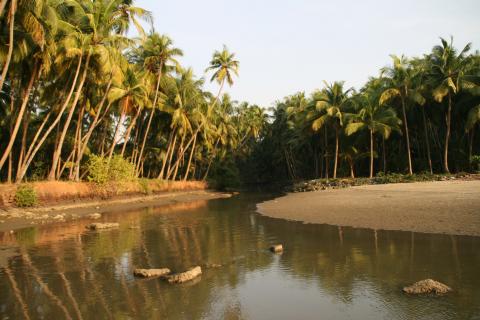 image Canal junto al mar en Muzzapilangad, Kerala, India