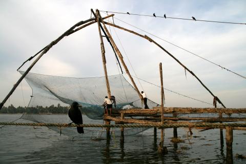 image Hombres recogiendo una red china en Cochin, Kerala, India