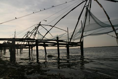 image Redes chinas en Cochin, Kerala, India