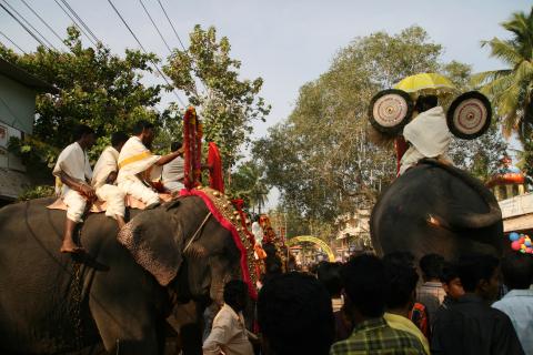 image Elefantes desfilando en Kollam, Kerala, India