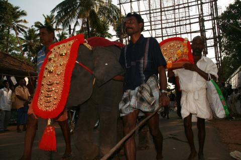image Cría de elefante desfilando en Kollam, Kerala, India