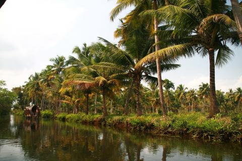 image Embarcación de recreo en los backwaters, Kerala, India