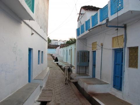image Calle de Orcha, India