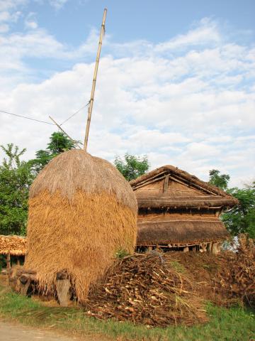 image Casa en Terai, Nepal