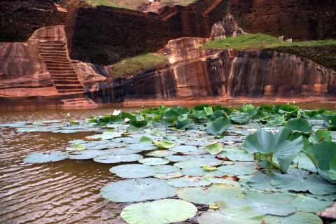image Estanque con nenúfares en la ciudad-roca de Sigiriya, Sri Lanka