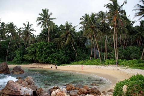 image Cala de coral al sur de Mirissa, Sri Lanka