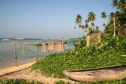 image Redes de pesca tendidas al sol en Unawatuna, Sri Lanka