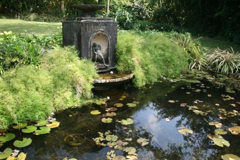 image Estatua de fuente en los Brief Gardens, Aluthgama , Sri Lanka