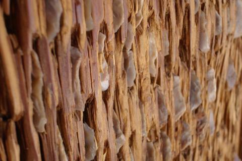 image Detalle de trillo