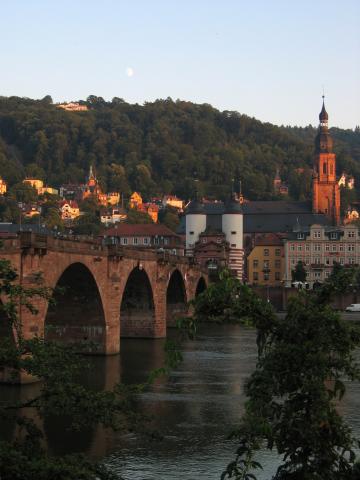 image Heidelberg y el río Neckar, Alemania