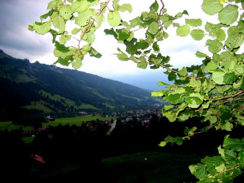 image Atardecer en la Selva Negra, Alemania