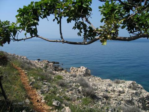 image Paseo junto al mar, isla de Krk, Croacia