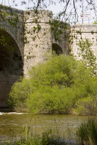 image Puente sobre el Duero, Quintanilla de Onésimo, Valladolid