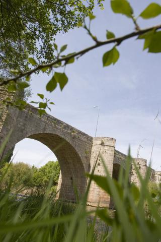 image Puente sobre el Duero, Quintanilla de Onésimo, Valladolid