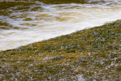 image Aguas del Duero, Quintanilla de Onésimo, Valladolid