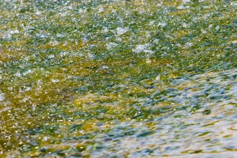 image Aguas del Duero, Quintanilla de Onésimo, Valladolid