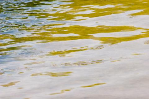 image Aguas del Duero, Quintanilla de Onésimo, Valladolid