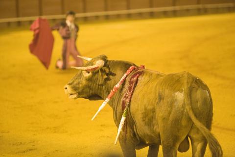 image Corrida de toros, Sevilla