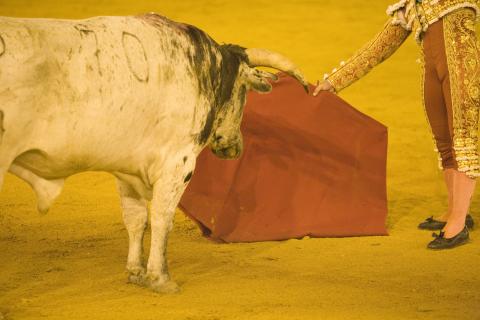 image Corrida de toros, Sevilla