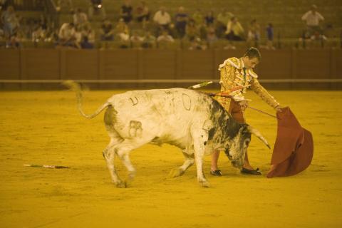 image Corrida de toros, Sevilla
